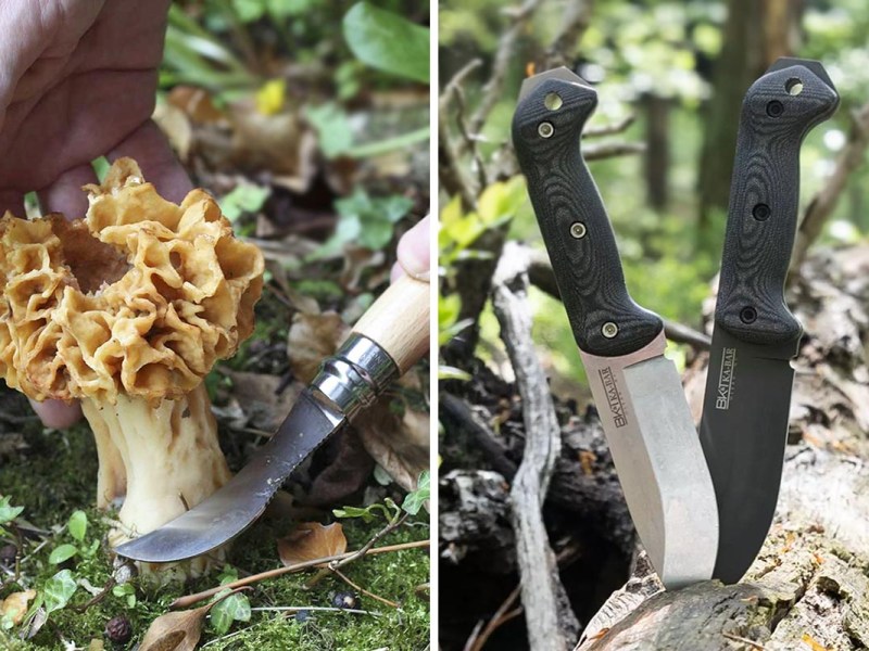 Outdoor-Messer im Überblick: Top-Klingen für Camping & Survival